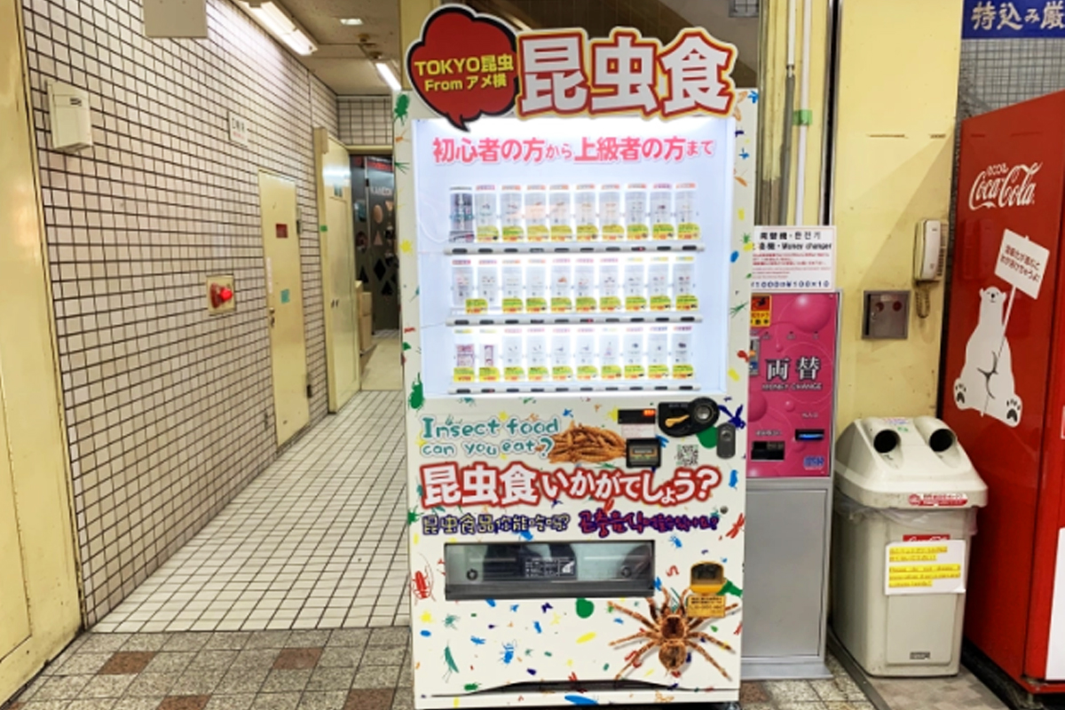 일본 음식