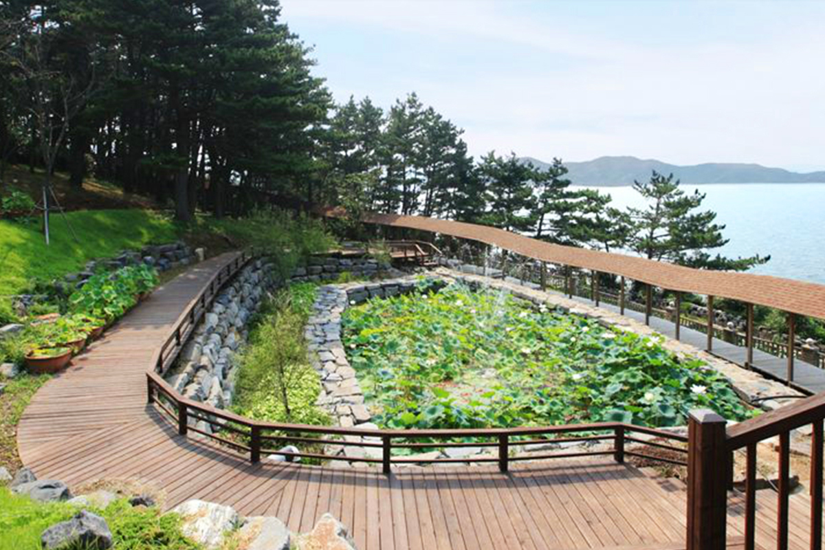 국내