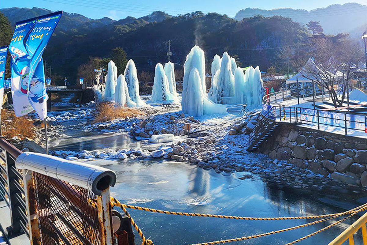 국내