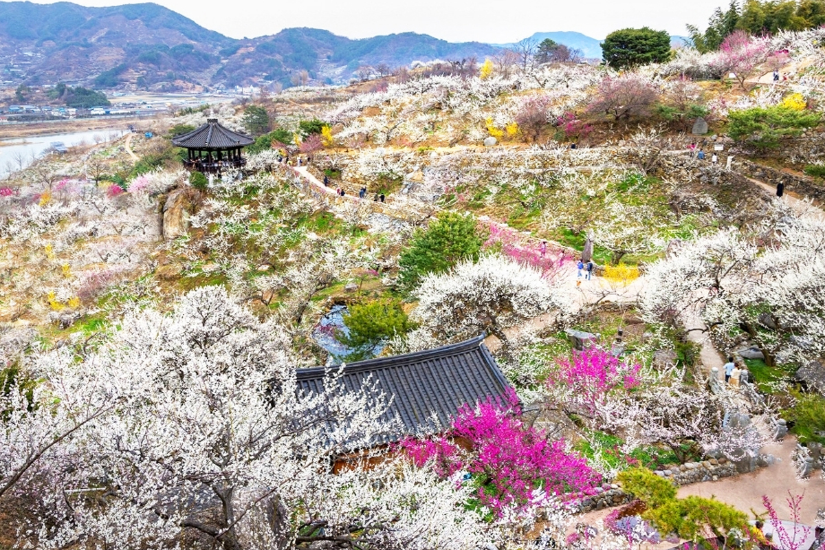 노잼도시